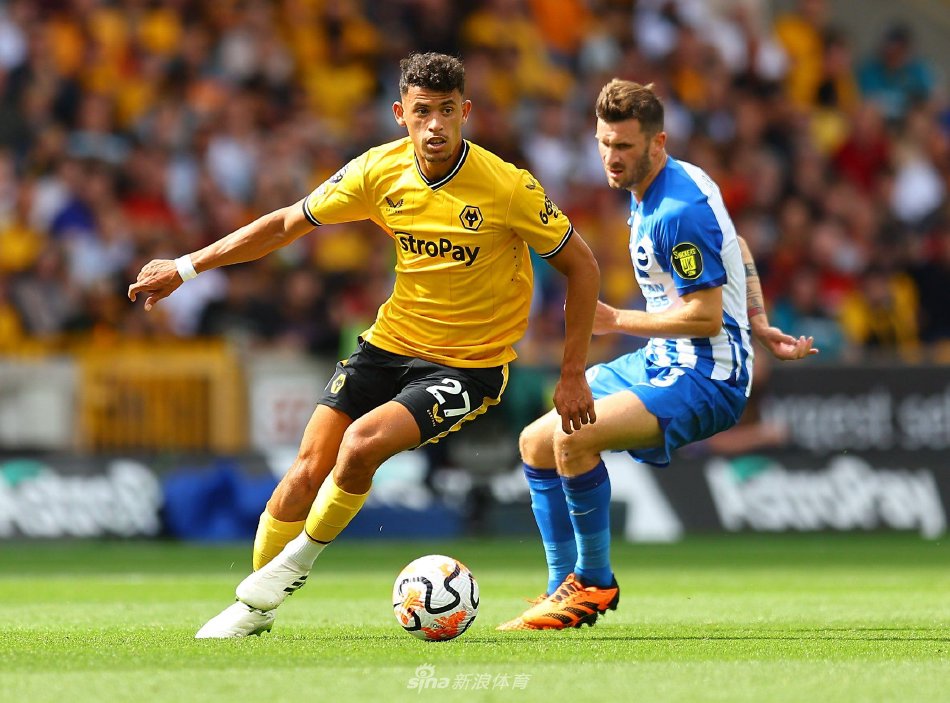 与脚踝伤病 与脚踝伤病