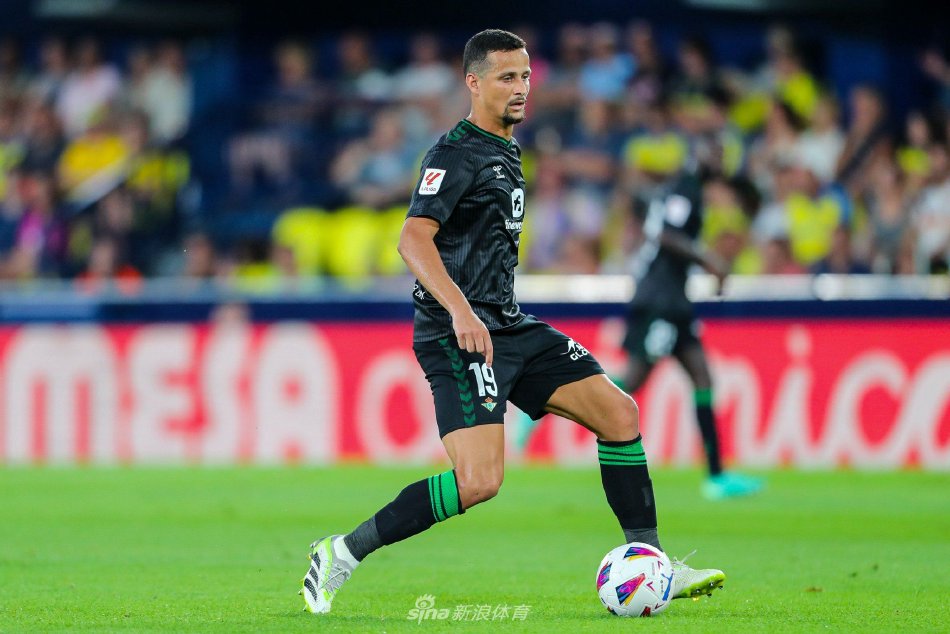 中华台北羽 中华台北羽